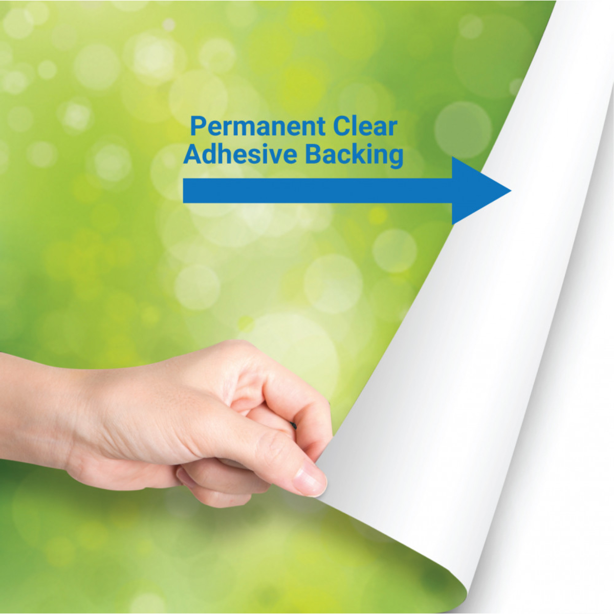 Adhesive-Decals-Wall-Clings-NYC-New-York (1)